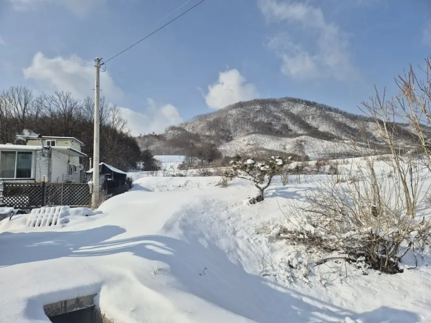 충주 지진 발생, 인명피해가 없어야 할텐데 진도 3.1지진